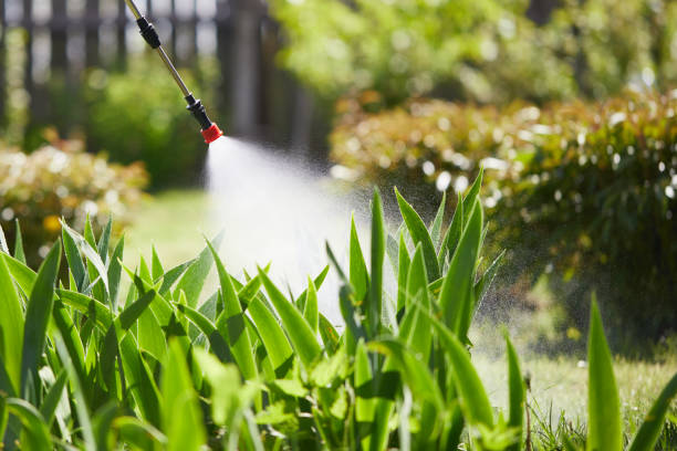 24/7 Emergency Fumigation Services experts in Sauk Rapids, MN